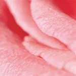 Fleur's - Gommage Corps Rose-Jasmin - Esfoliante Corpo Rosa-Gelsomino