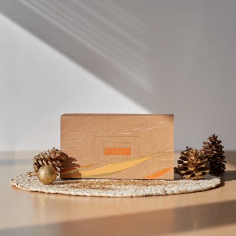 2024-NATALE-SCATOLA-ZANZIBAR