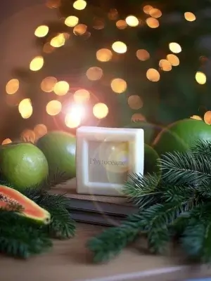 Phytoceane - Savon Mains et Corps - Sapone Mani e Corpo