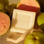 Phytoceane - Savon Mains et Corps - Sapone Mani e Corpo